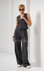 Levin suit